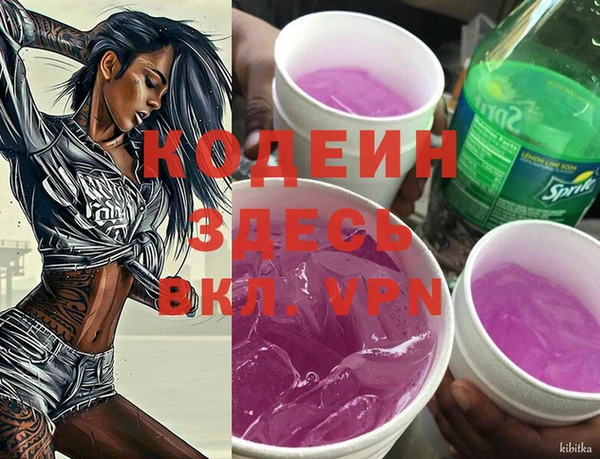 дурь Арсеньев
